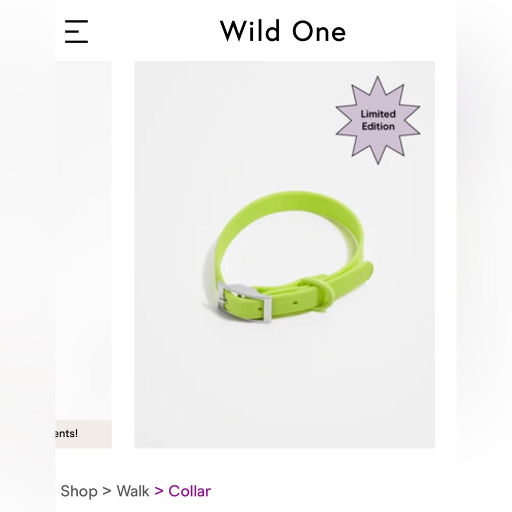 Wild One Rubber Dog Collar - Brand New!!! Limeade Limited Edition